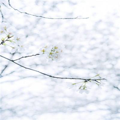 三世三生镜花缘正式版下载